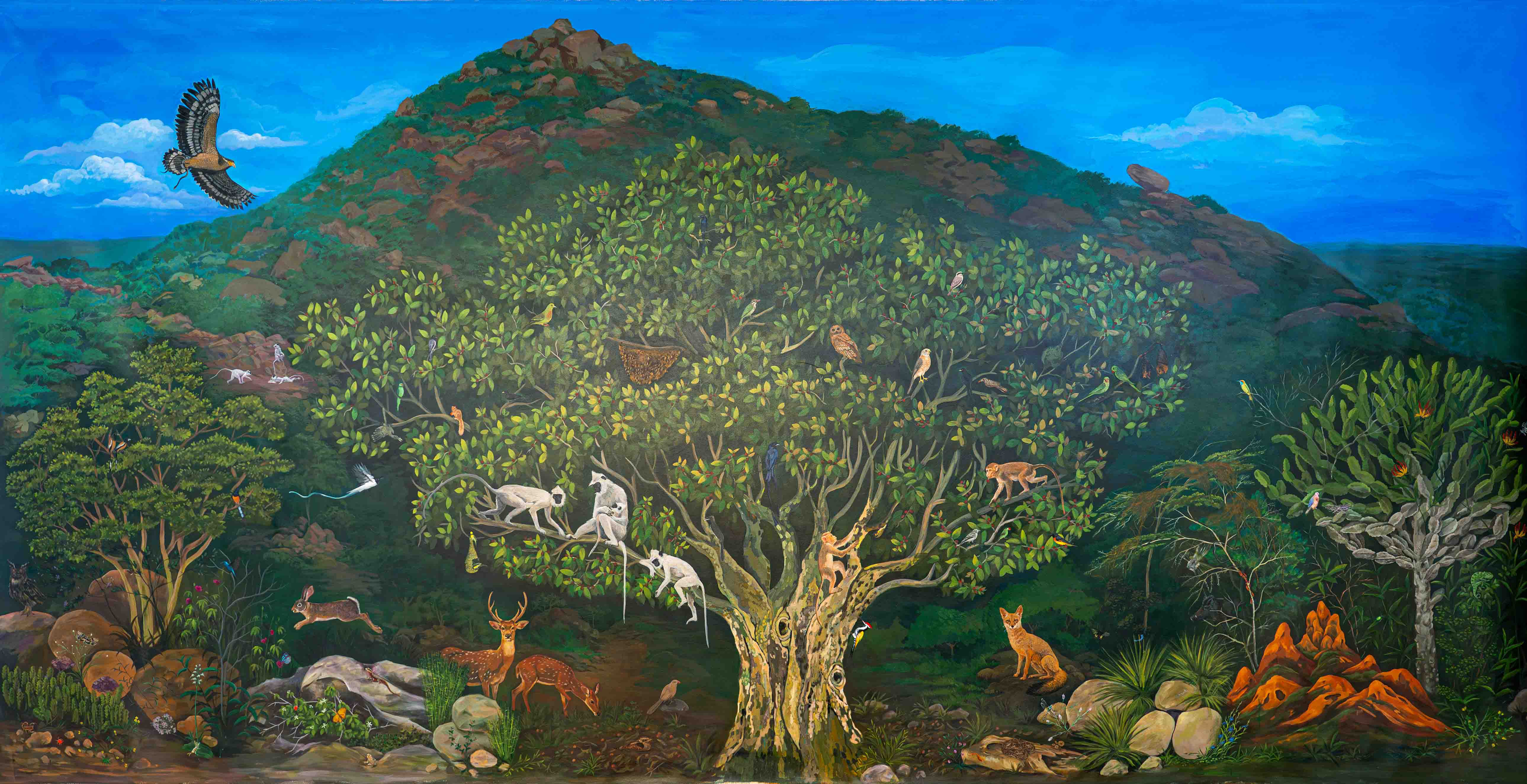 Emerging Ecologies background image